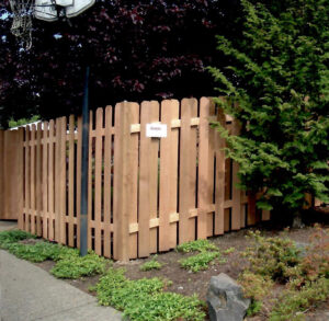 A custom-built natural wood fence with wide, rounded-top pickets of varying heights wraps around a corner in a lushly landscaped yard. The fence is bordered by green ground cover plants, a dark-leaved tree, and a tall evergreen shrub next to a concrete sidewalk.